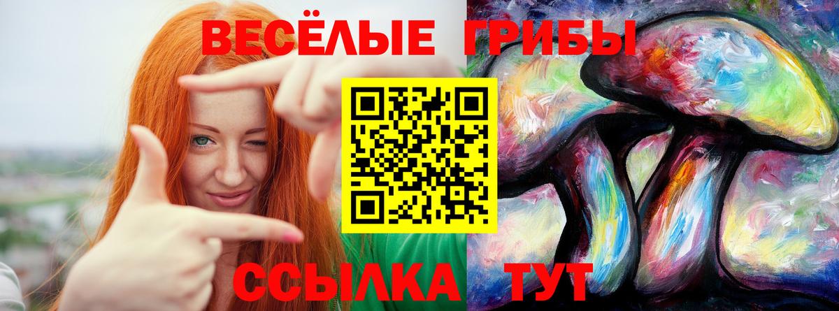цена   Вход с VPN  Саратов  Псилоцибиновые грибы прущие грибы  Псилоцибиновые грибы мицелий 