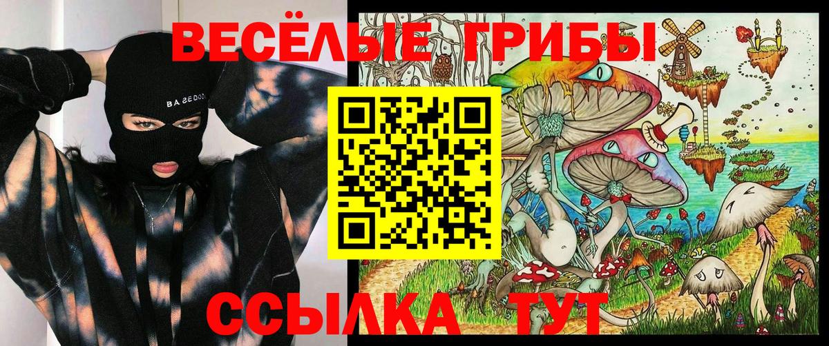 Галлюциногенные грибы Psilocybe Саратов